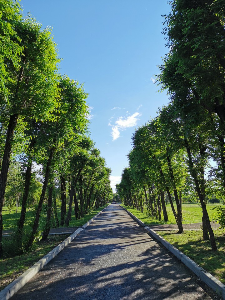 Путь