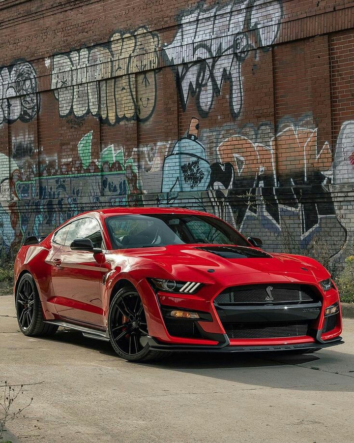 shelby GT500 ??????????????????
