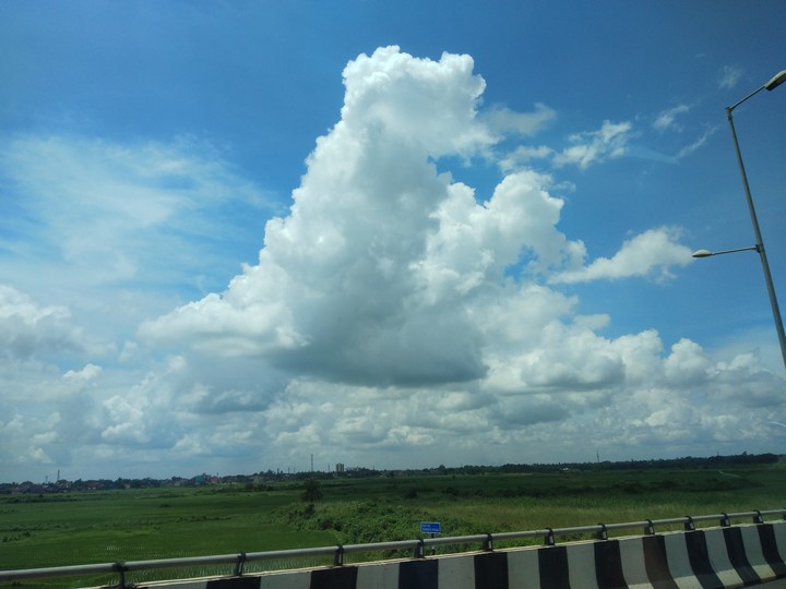 Cloudy sponge