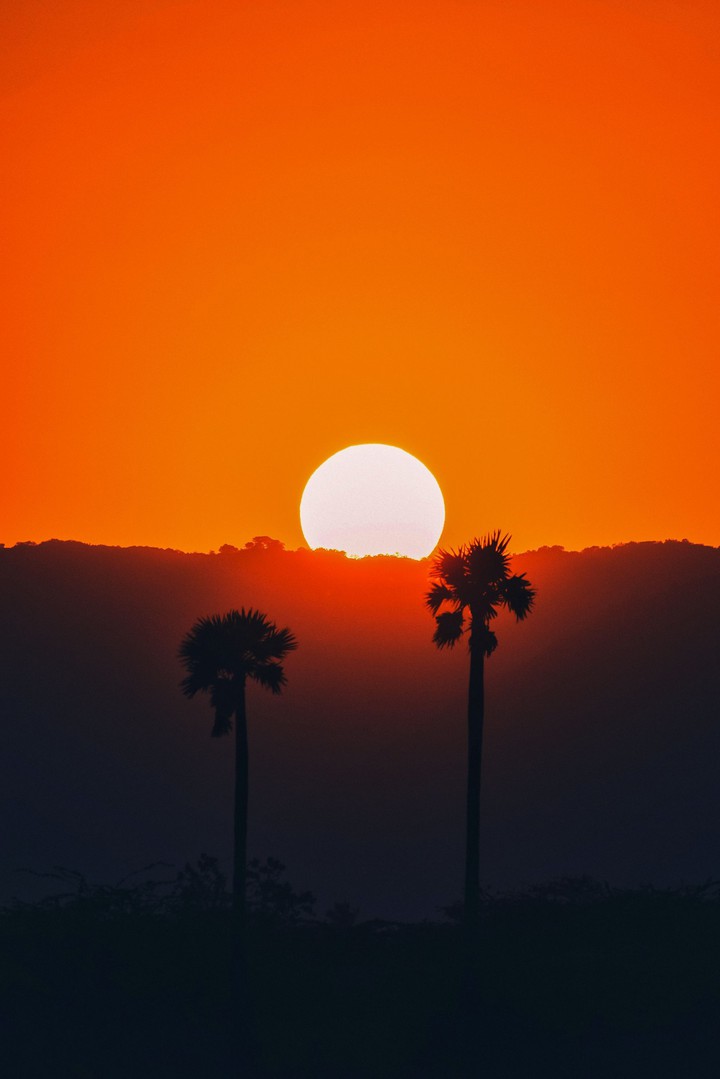 The Sun