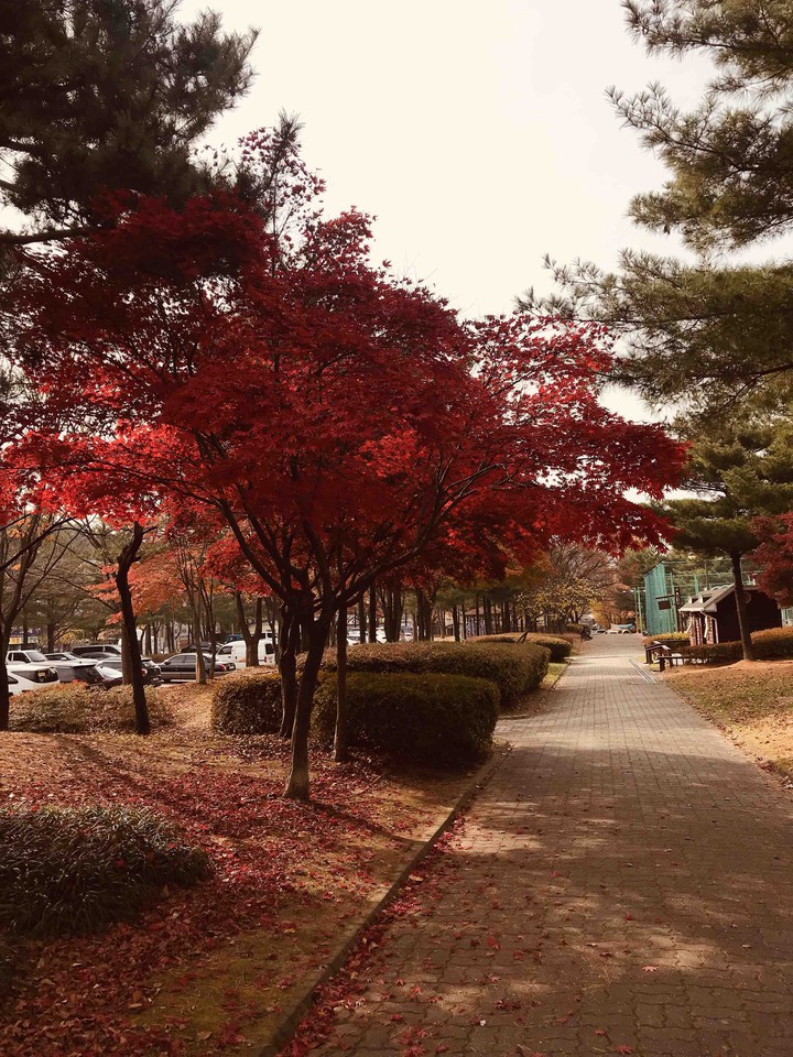 autumn