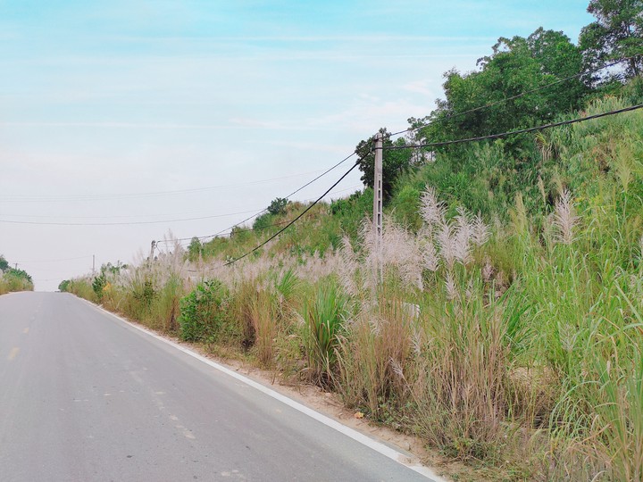 một chiều cuối đông