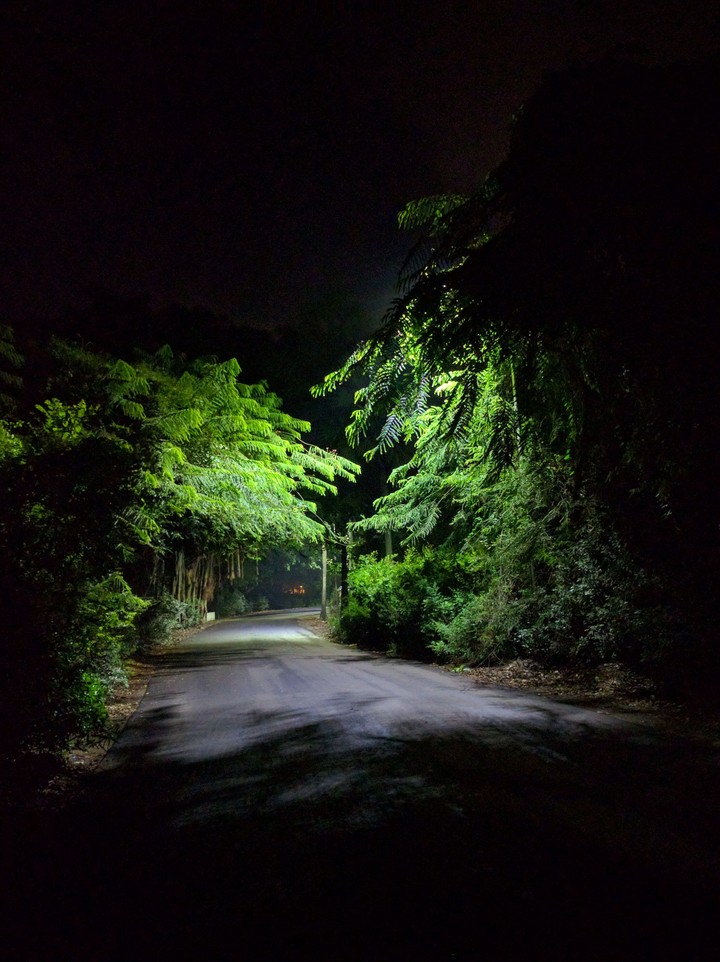 Enlightenment in darkness