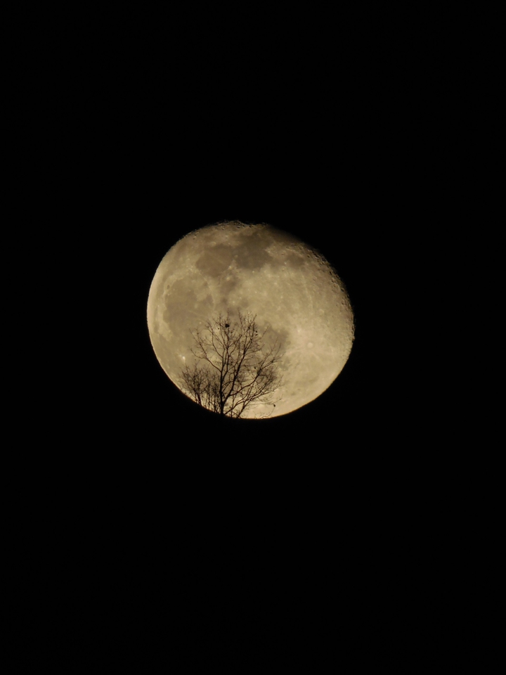 Moon