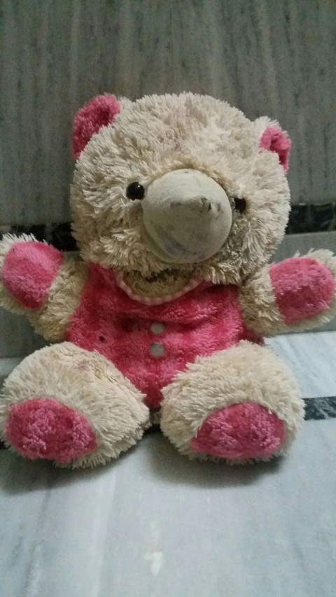 a cuty teddy