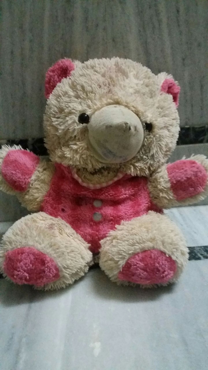 a cuty teddy