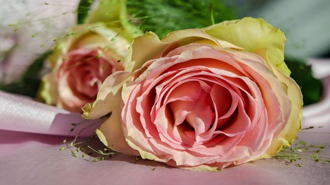 rose