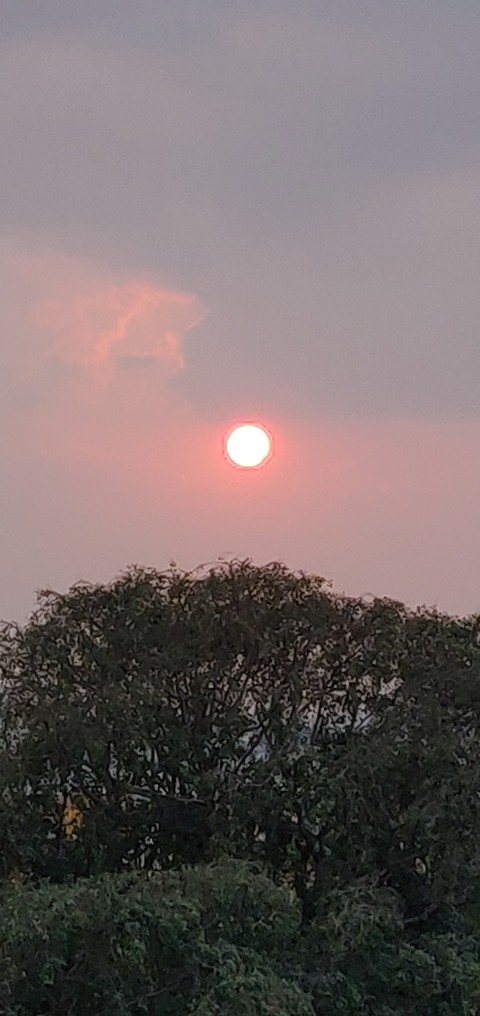 sunset 1