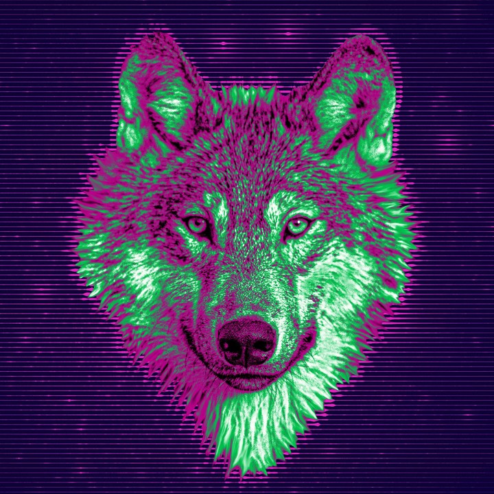 digital,wolf
