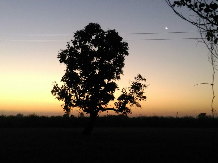 moon in sunrise