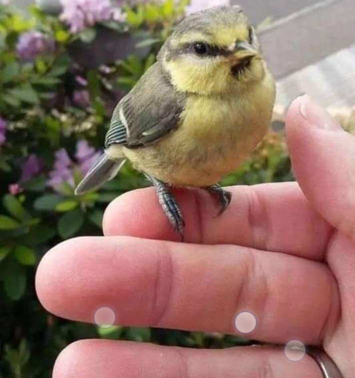 cute ?