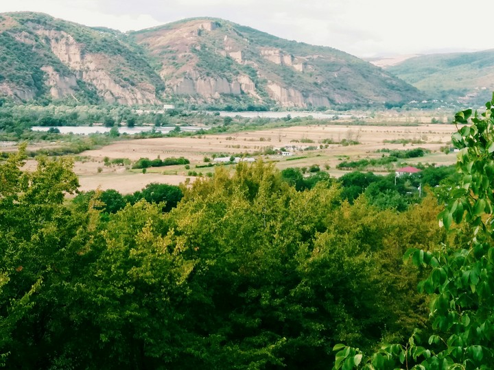 nature