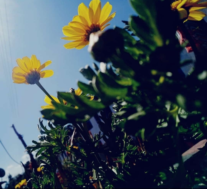 ?