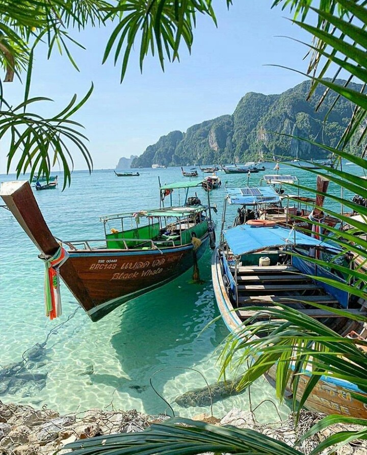 Phi Phi Island