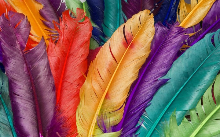 color