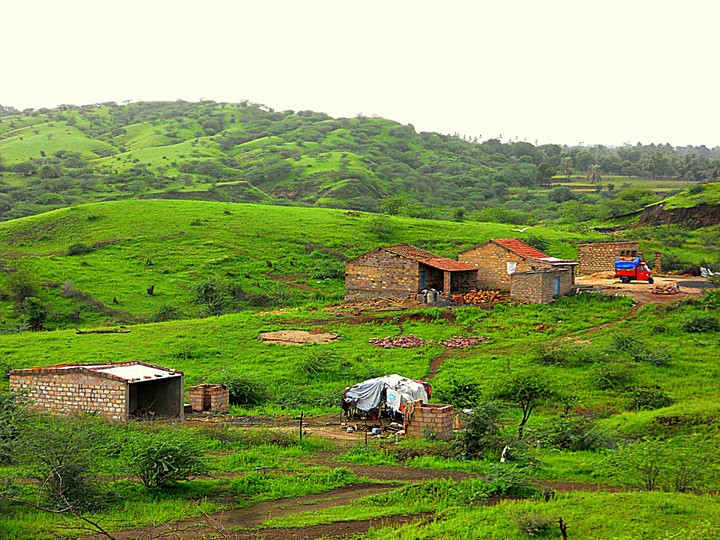 Green landscape