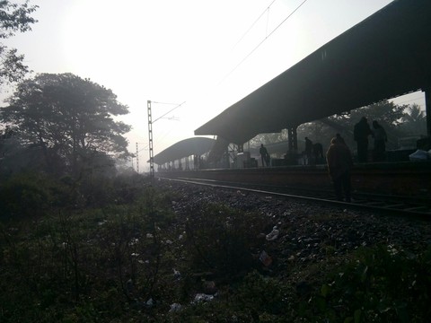 Fog