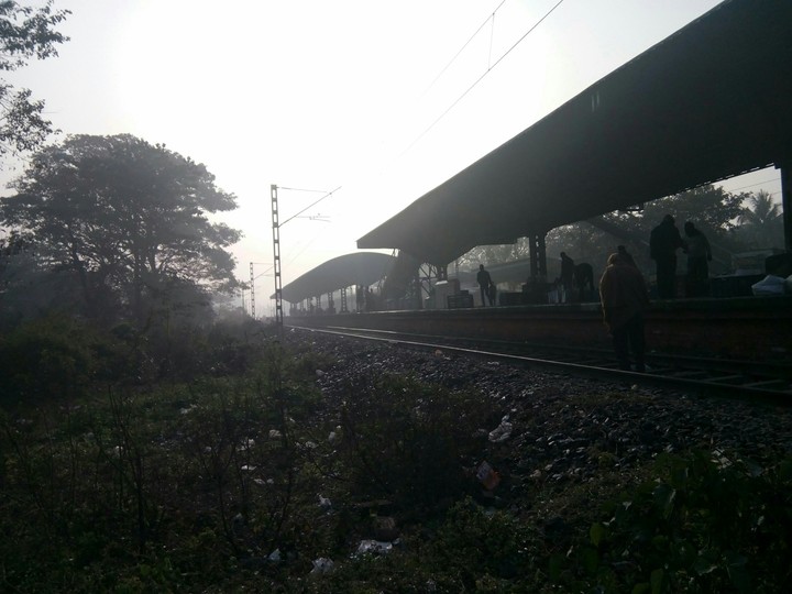 Fog