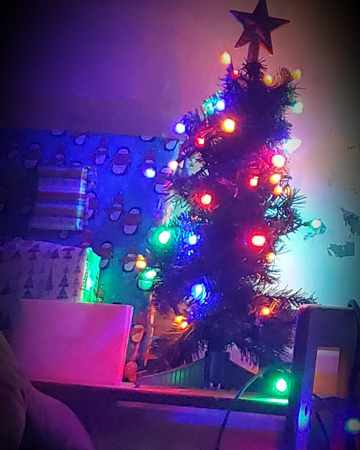 Little tree lots of spirit