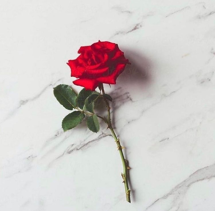 Rose ??