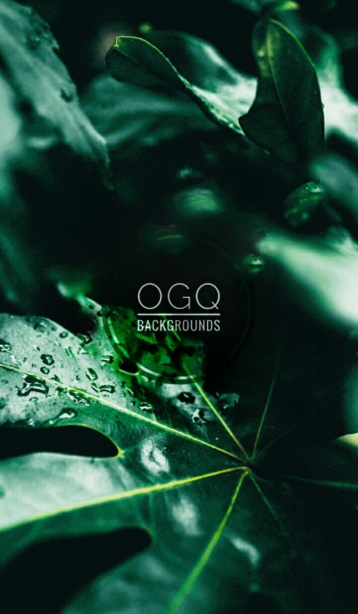 OGQ BACKGROUNDS