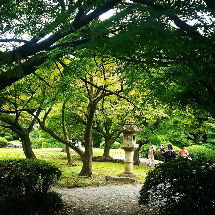 My Holiday in Japan