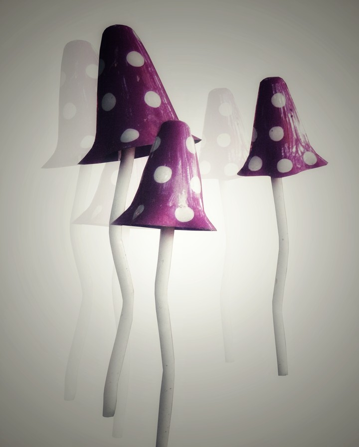 Mushrooms