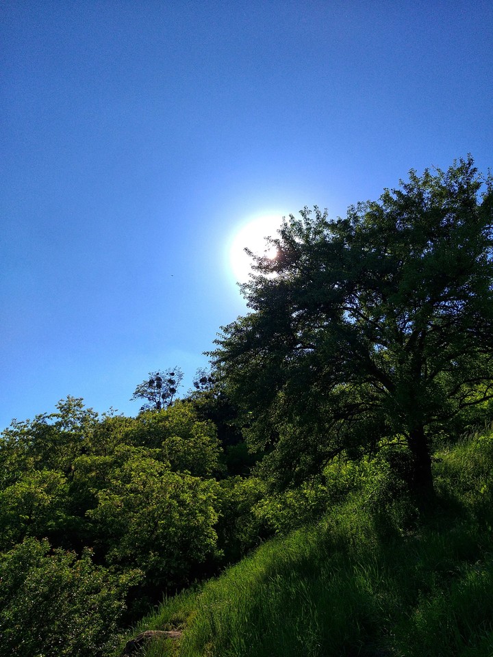 sun