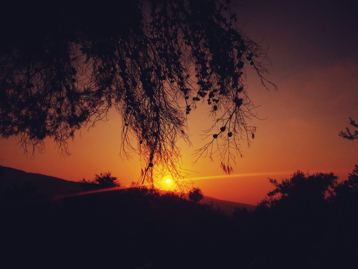 sunset