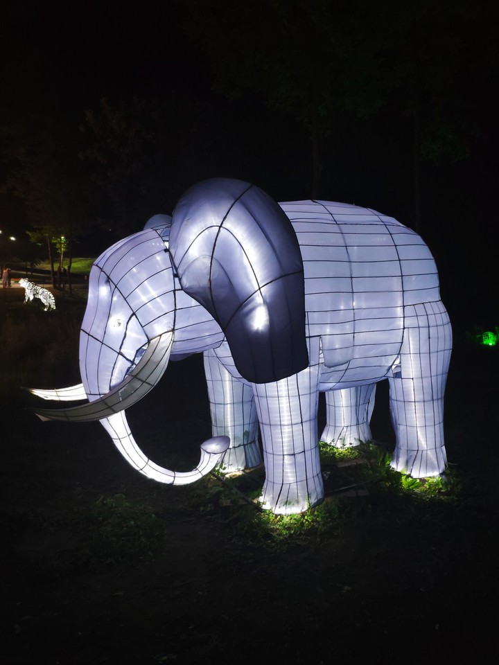 Elephant in the dark