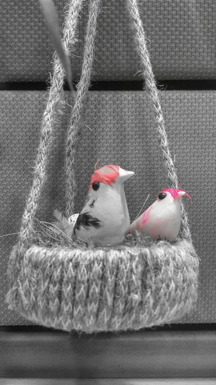 cute, love, friendship, life, happiness, birds