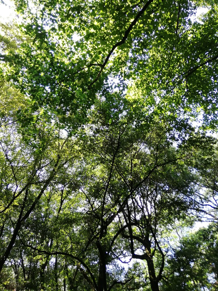 Il mio cielo