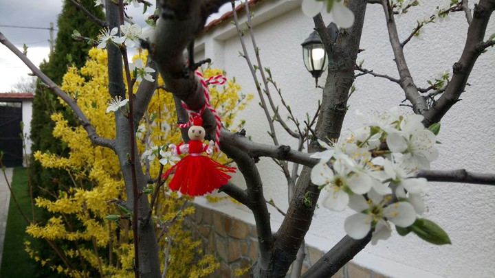 Spring view