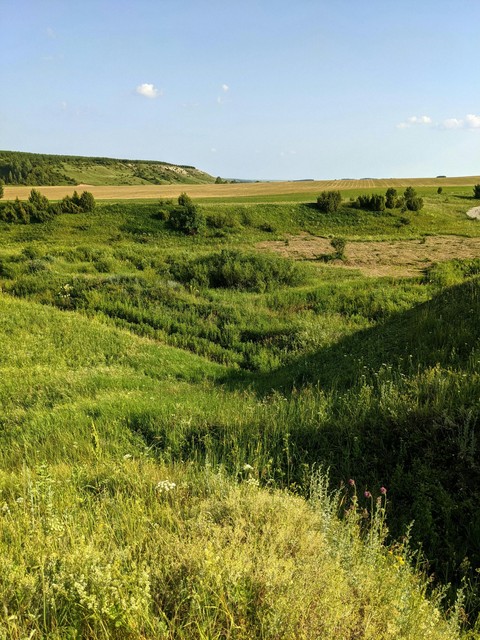 sfondi plain, pasture