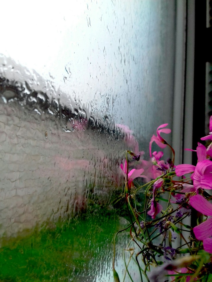 Rain
