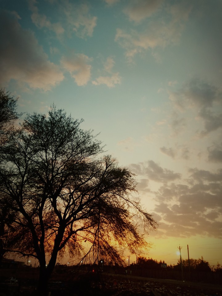 #Nature love