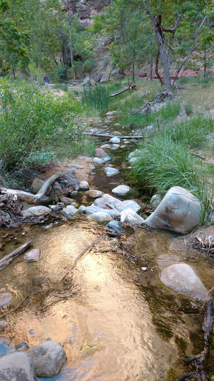 Stream