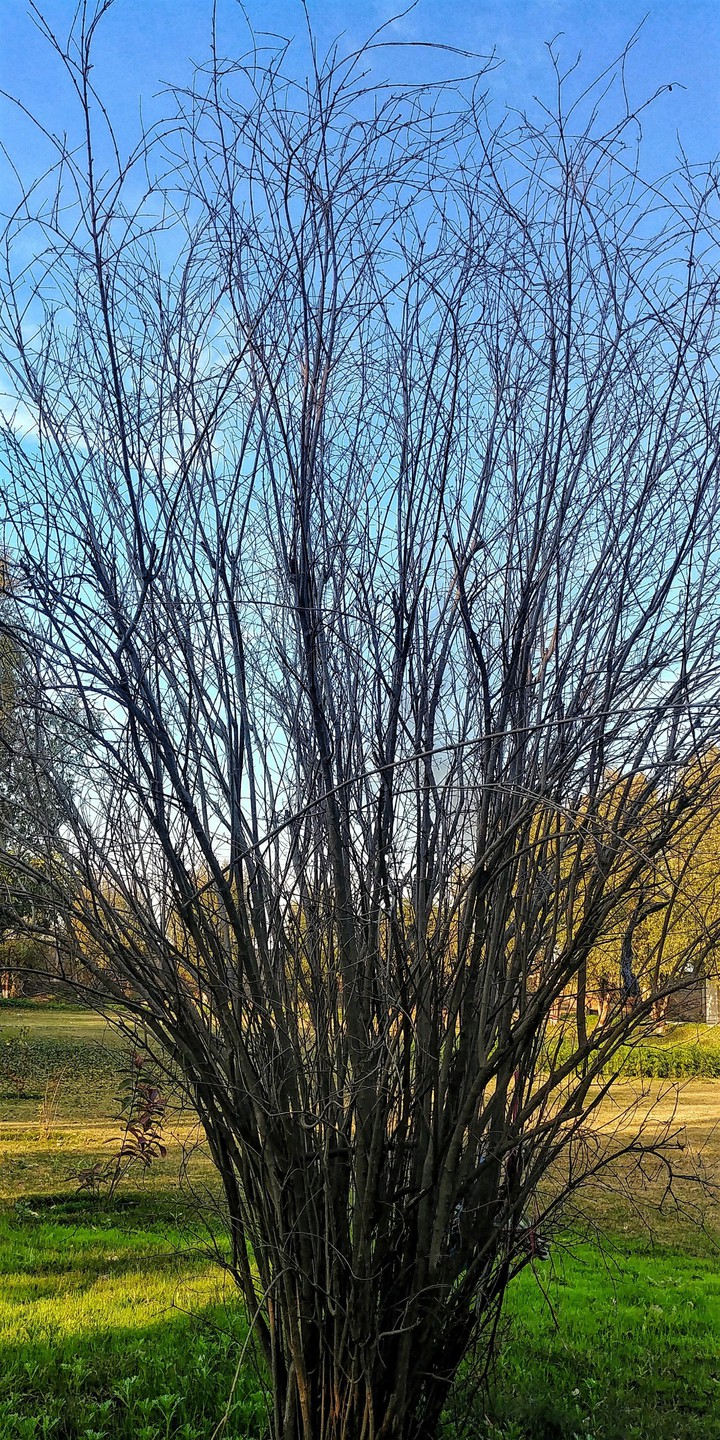 winter