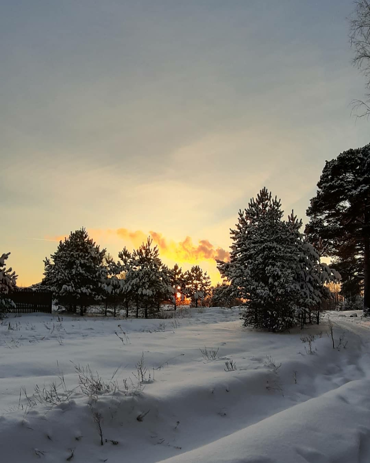 Winter