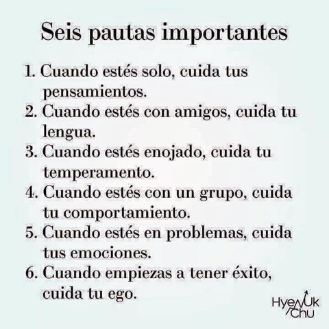 consejo de la Toráh