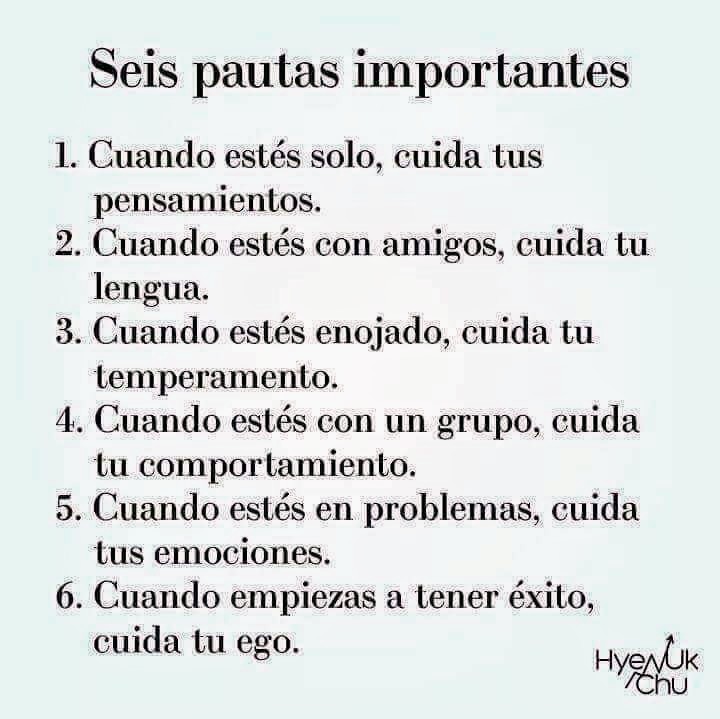 consejo de la Toráh