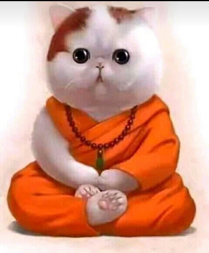 ....