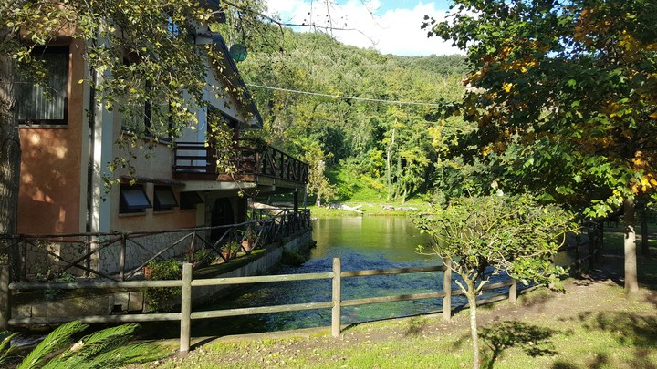 Verde acqua