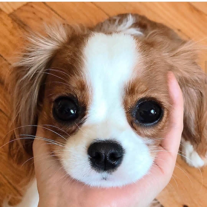 so cute