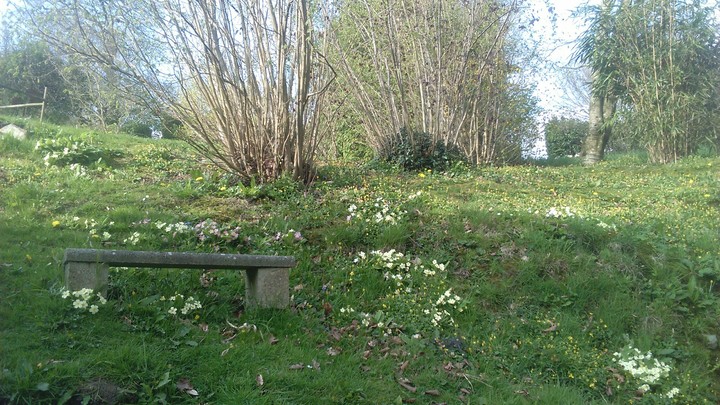 Banc de Pierre
