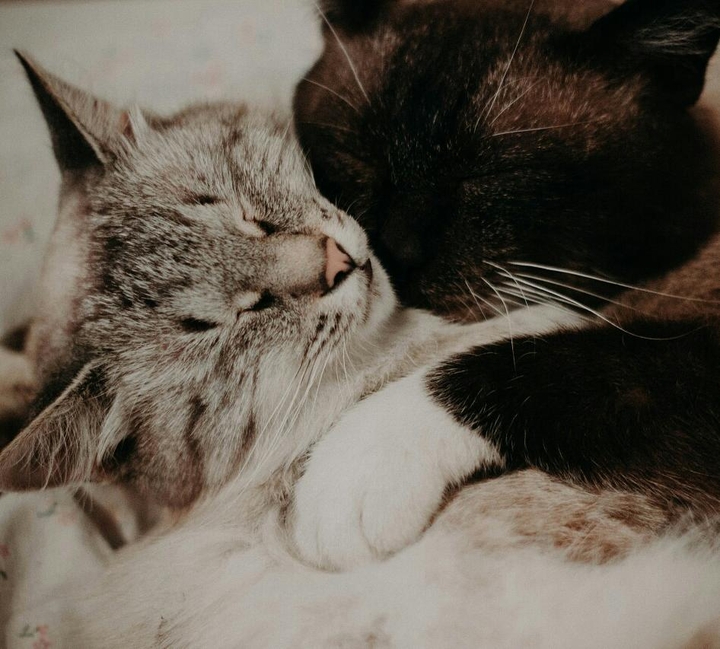 Кофе с молоком