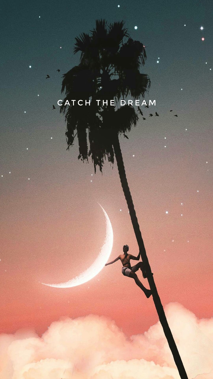Catch the dream