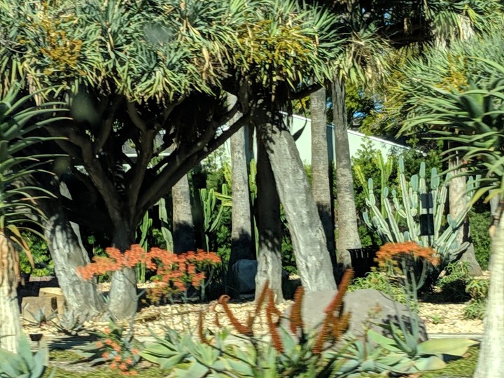 Landscape Superstar