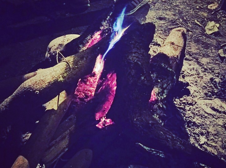 Bonfire