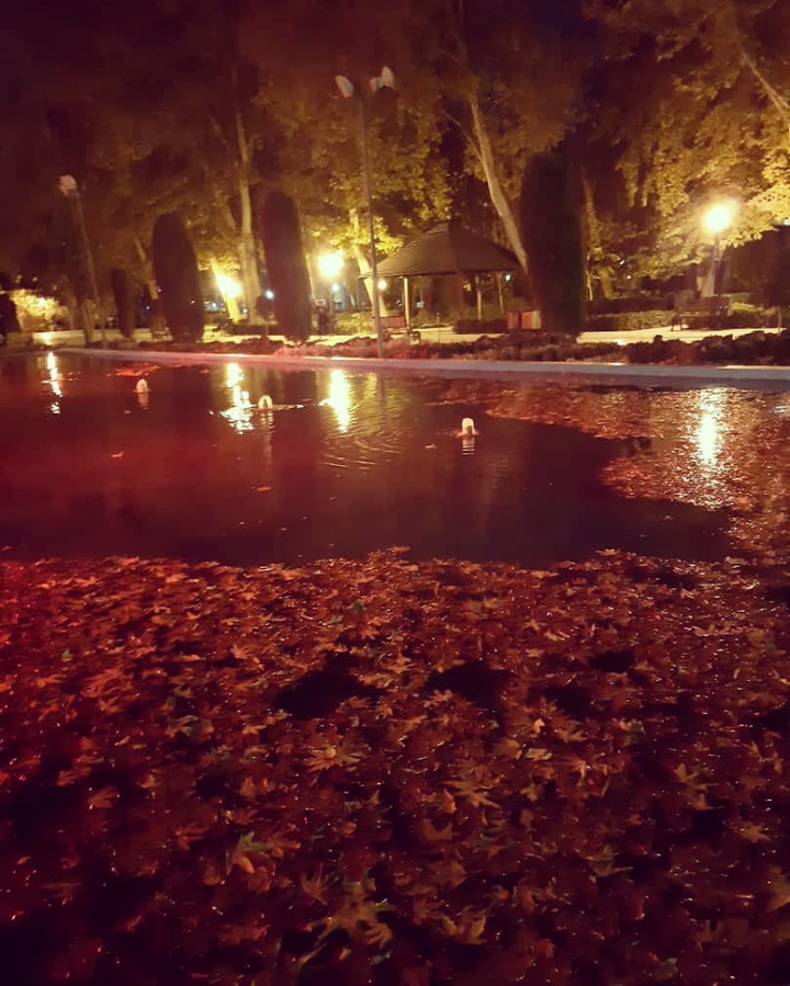 autumn